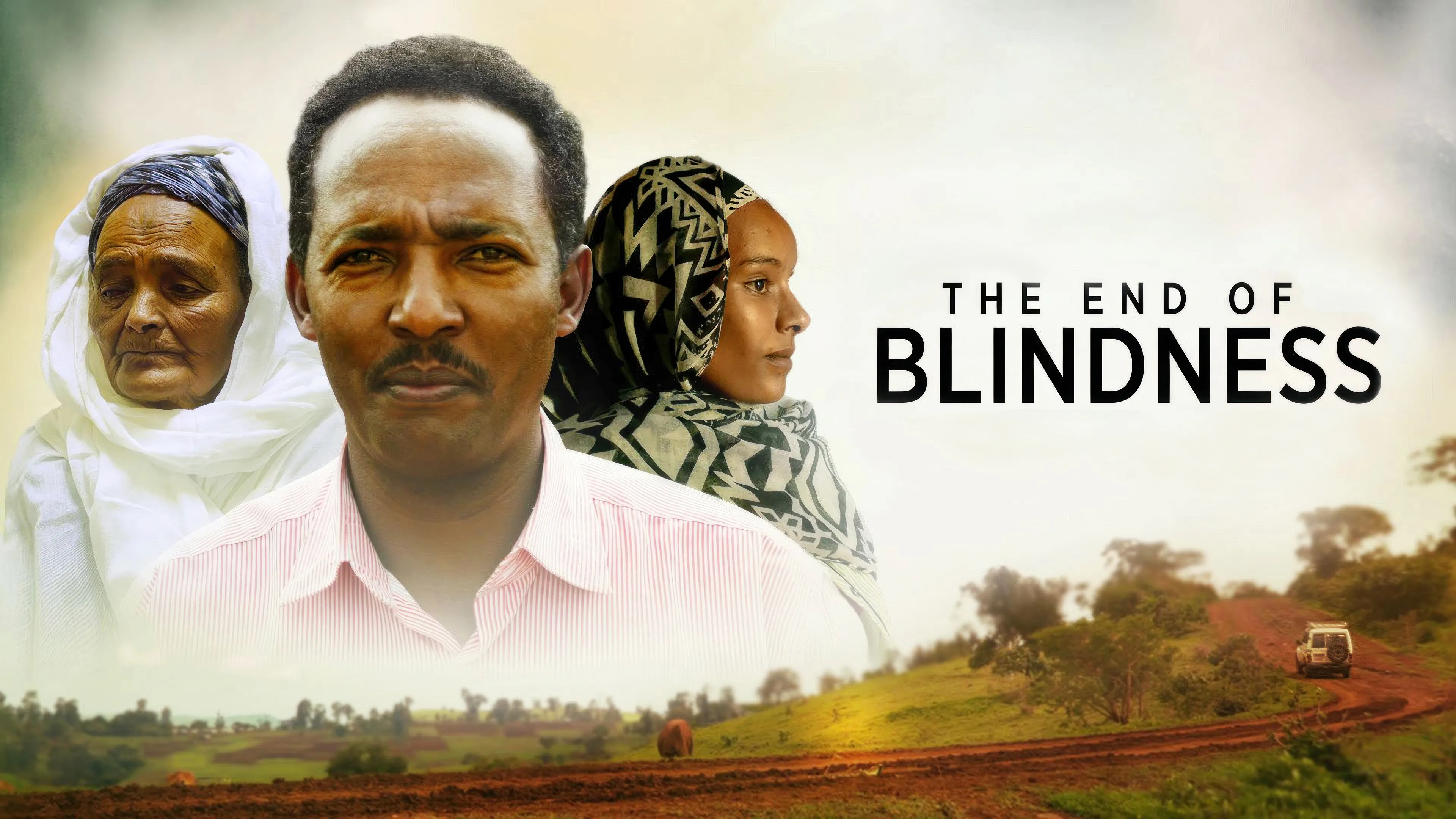 The End of Blindness poster